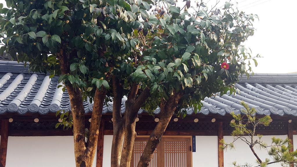Misori Guesthouse Gwangju Metropolitan City Exterior foto